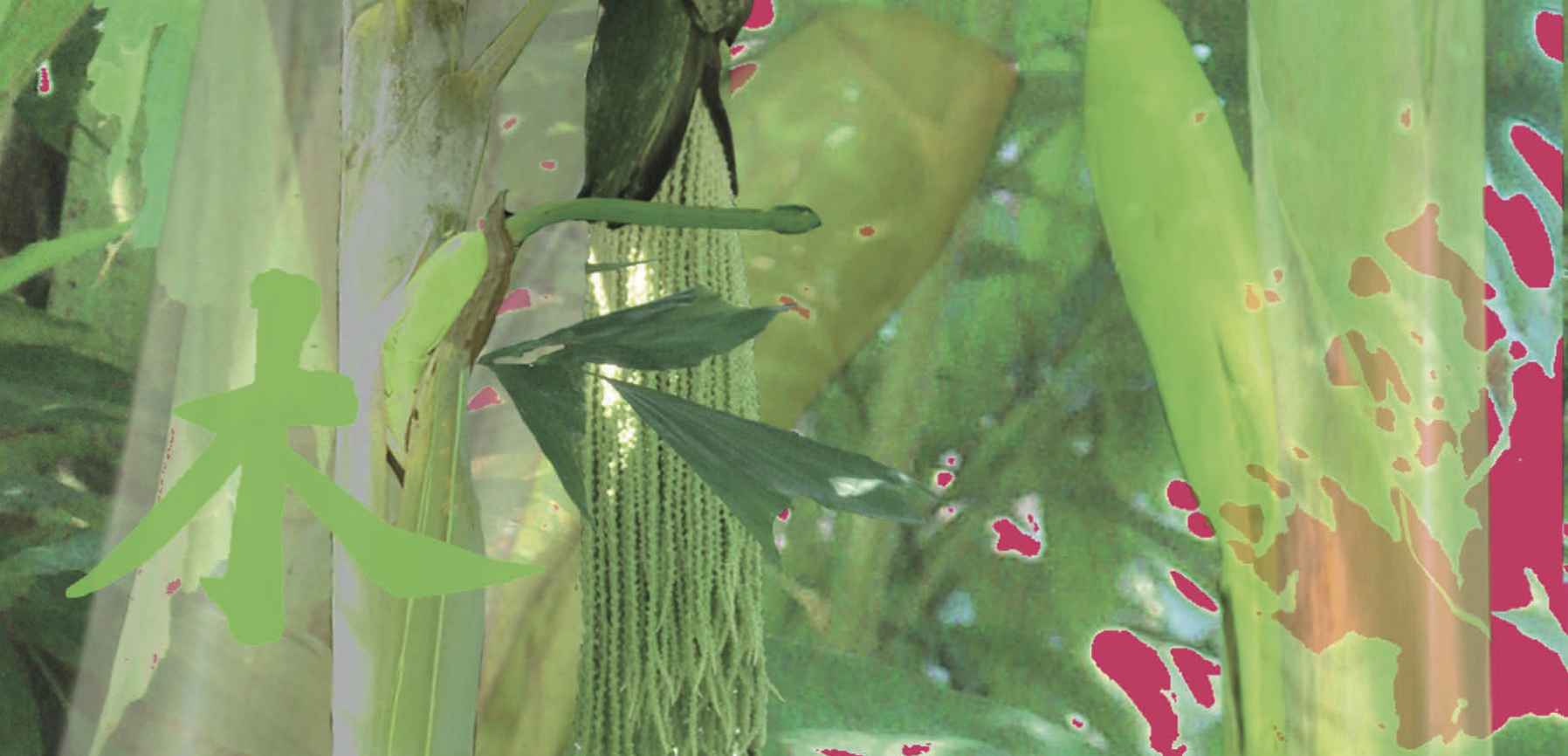 seiten aus funf elemente karten 01 2