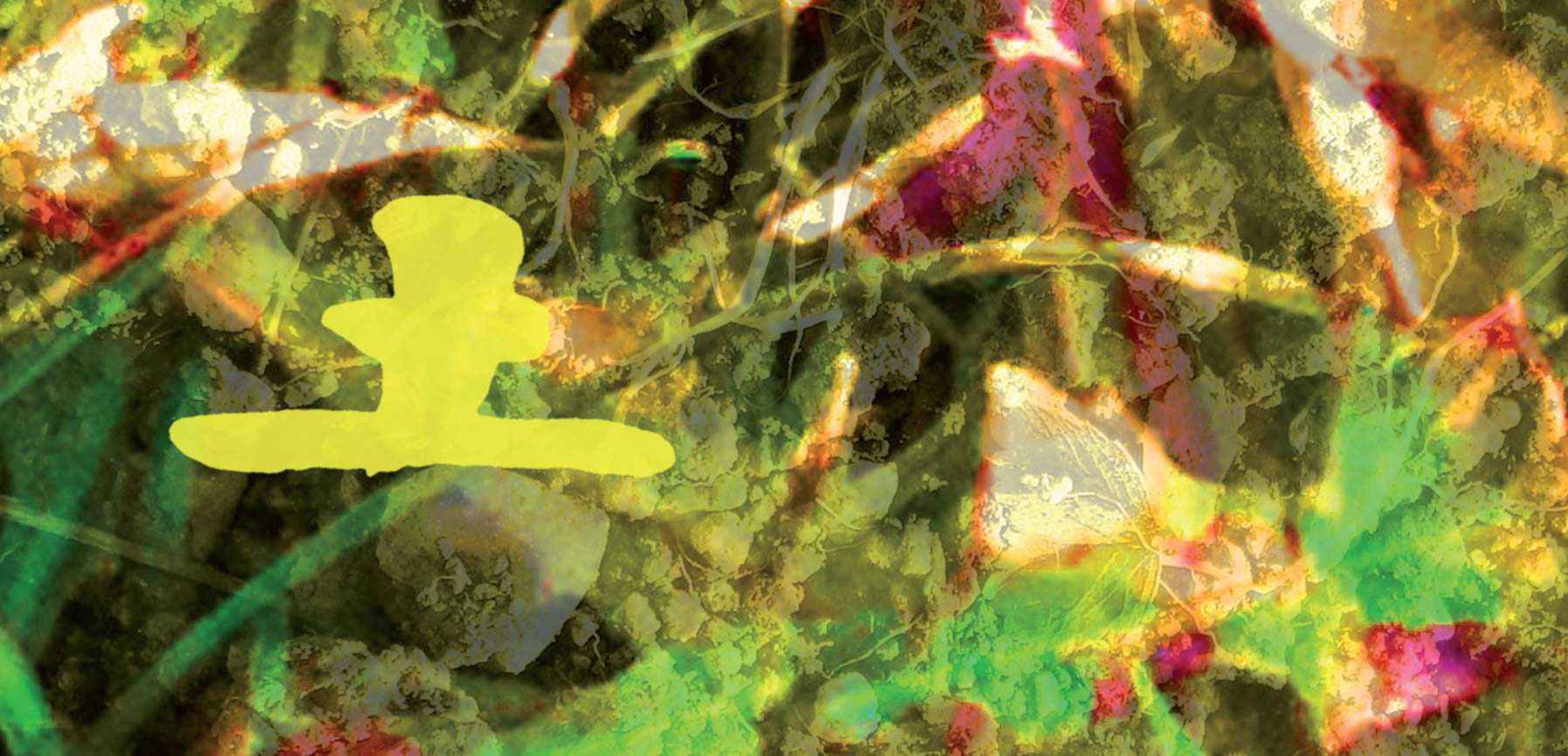 seiten aus funf elemente karten 01 2